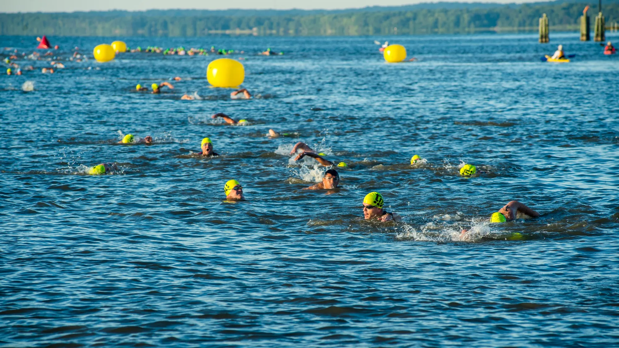Triathletes in yellow swim caps swimming freestyle through open water past large yellow marker buoys